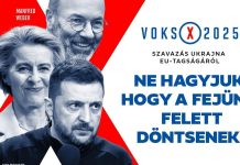 EU-Beitritt der Ukraine bedeutet: Deutsche Soldaten an die Front und wirtschaftliches Desaster