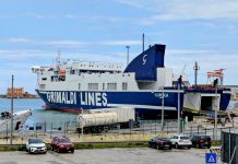 Hafenarbeiter in NATO-Ländern setzen Zeichen gegen Gaza-Genozid