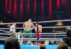 Rotes Licht und rote Ecke: eine Boxnacht in Berlin – Tschetschenischer Wolf schlug zu