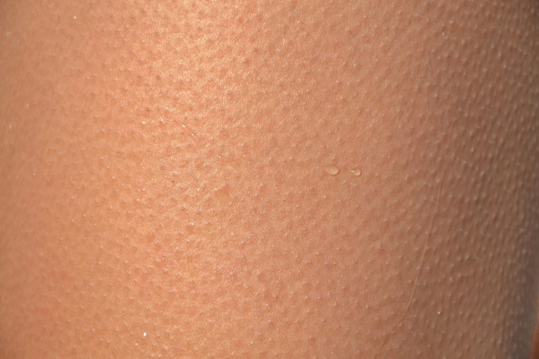 Gänsehaut. Quelle Pixabay, Foto: Anna