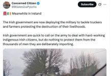 Die Spritpreise in der Republik Irland sind hoch – Die Wut wächst – Panzer gegen Laster und Trecker