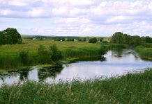 Schaffung einer Pufferzone oder Befreiung der Sumy genannten Oblast?