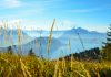 Besprechung auf dem Bürgenstock kurzfristig abgesagt oder Schampus über dem Vierwaldstättersee und Rohöl durch die Straße von Hormus