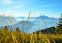 Besprechung auf dem Bürgenstock kurzfristig abgesagt oder Schampus über dem Vierwaldstättersee und Rohöl durch die Straße von Hormus