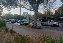 Mutmaßlicher Attentäter in der Migrantenmetropole Berlin getötet