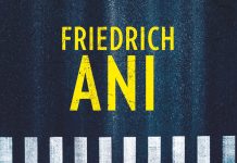 Annotation zum Roman „Lichtjahre im Dunkel“ von Friedrich Ani