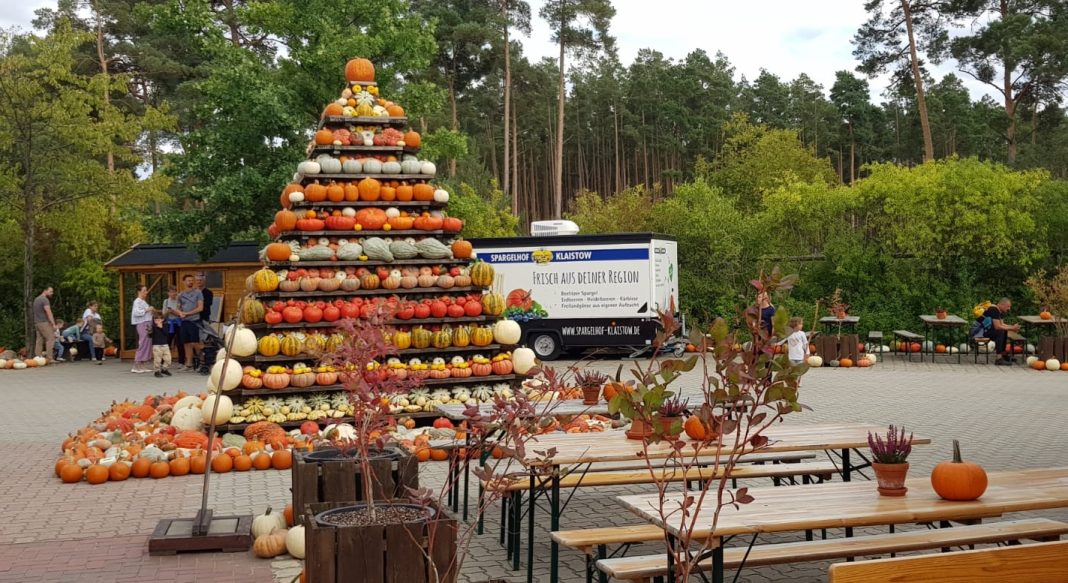 Eine Pyramide aus Kürbissen auf dem Kürbishof Klaistow. © Münzenberg Medien, Foto: Tatiana Lvova, Ort und Datum der Aufnahme: Klaistow, 11.9.2026, BU: Stefan Pribnow