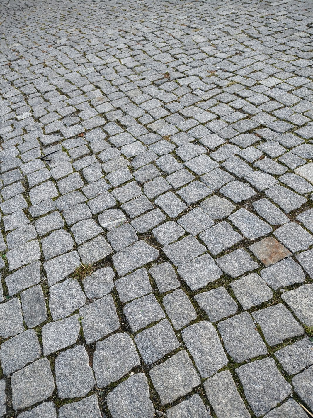 Spur der Steine. © Münzenberg Medien, Foto / BU: Stefan Pribnow, Ort und Datum der Aufnahme: Berlin, 2.9.2026
