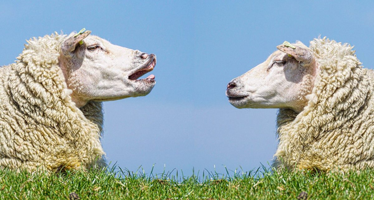 Glosse: Meinungsfreiheit und Pressefreiheit oder Biedermänner und Brandstifter