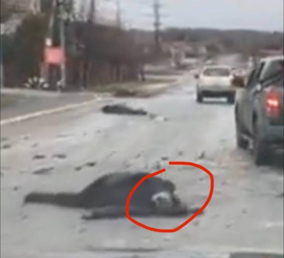 Mutmaßlicher Toter von Butscha. Quelle: Kotsnews, 4.4.2022