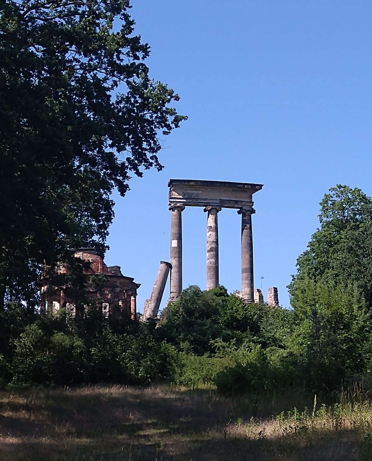 Kolossale Säulen und ein Klassische kolossale Säulen und ein dorischer Rundtempel auf dem Ruinenberg. © Foto/ BU: Stefan Pribnow, Ort und Datum der Aufnahme: Potsdam, 24.6.2023
