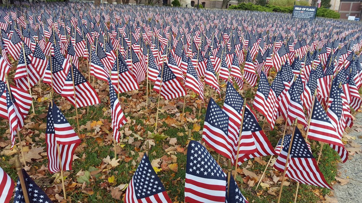patriotism-3328261_1920