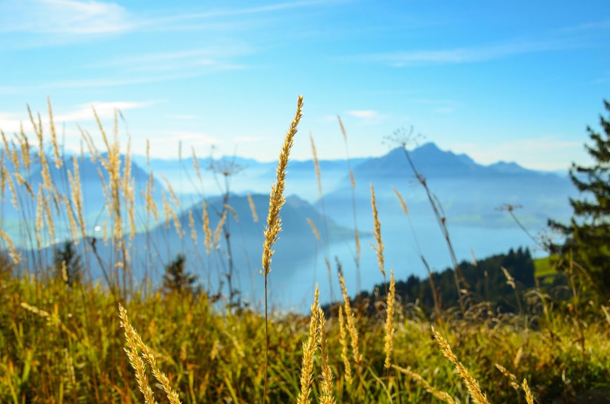 Blick vom Bürgenberg, auch Bürgenstock genannt, auf den Vierwaldstättersee. Quelle: Pixabay, Foto: Sarah Lötscher